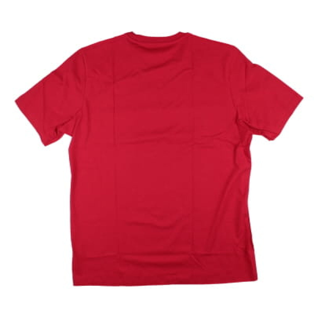 2024-2025 Man Utd DNA Graphic Tee (Red)