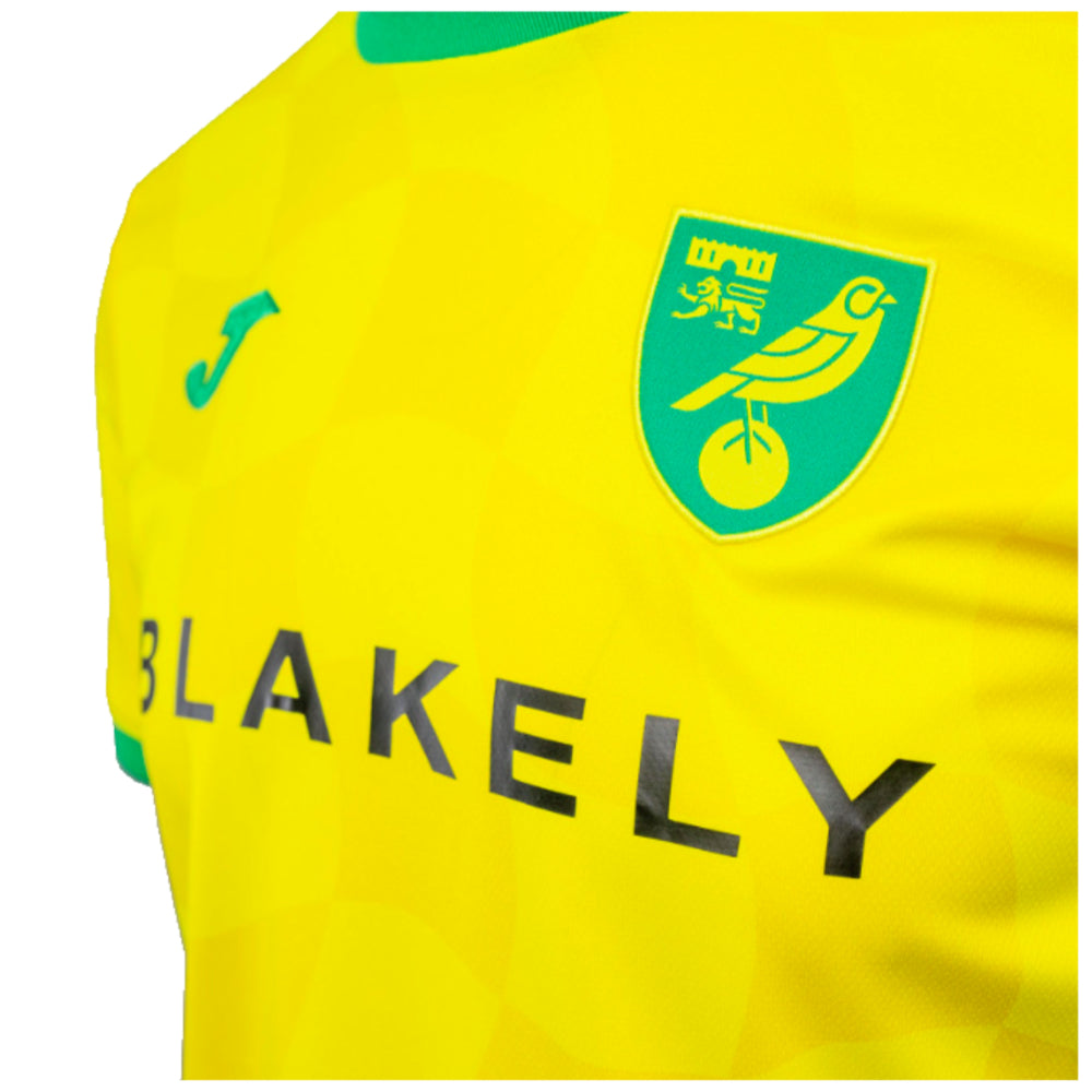 2024/25 Norwich Home Shirt